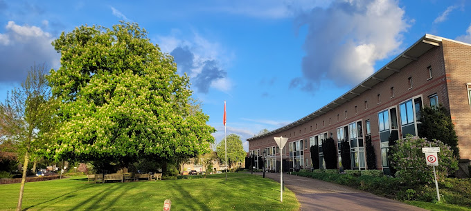 Afbeelding bij nieuwsbericht: Beweegmaatjes voor mensen met dementie